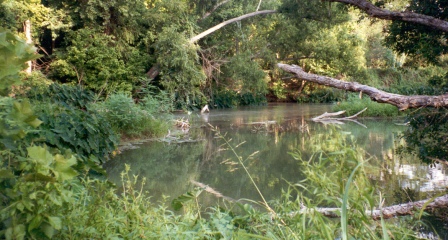 UtopiaFunClub | San Marcos River